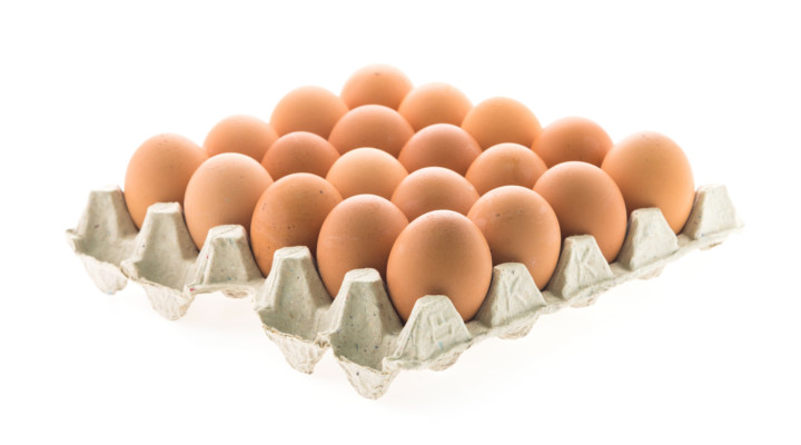 Producción animal sustentable